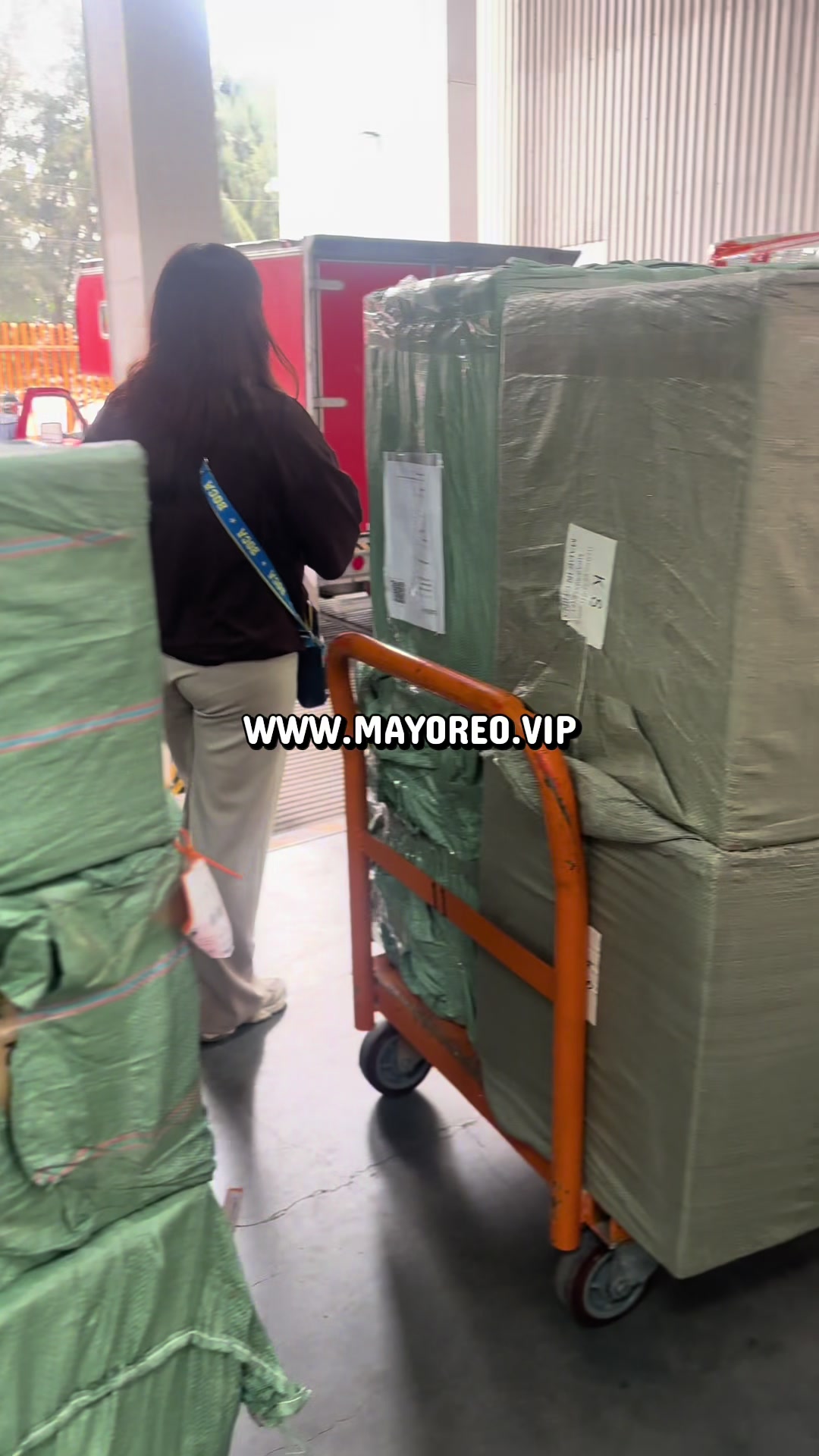 @MAYOREO.VIP