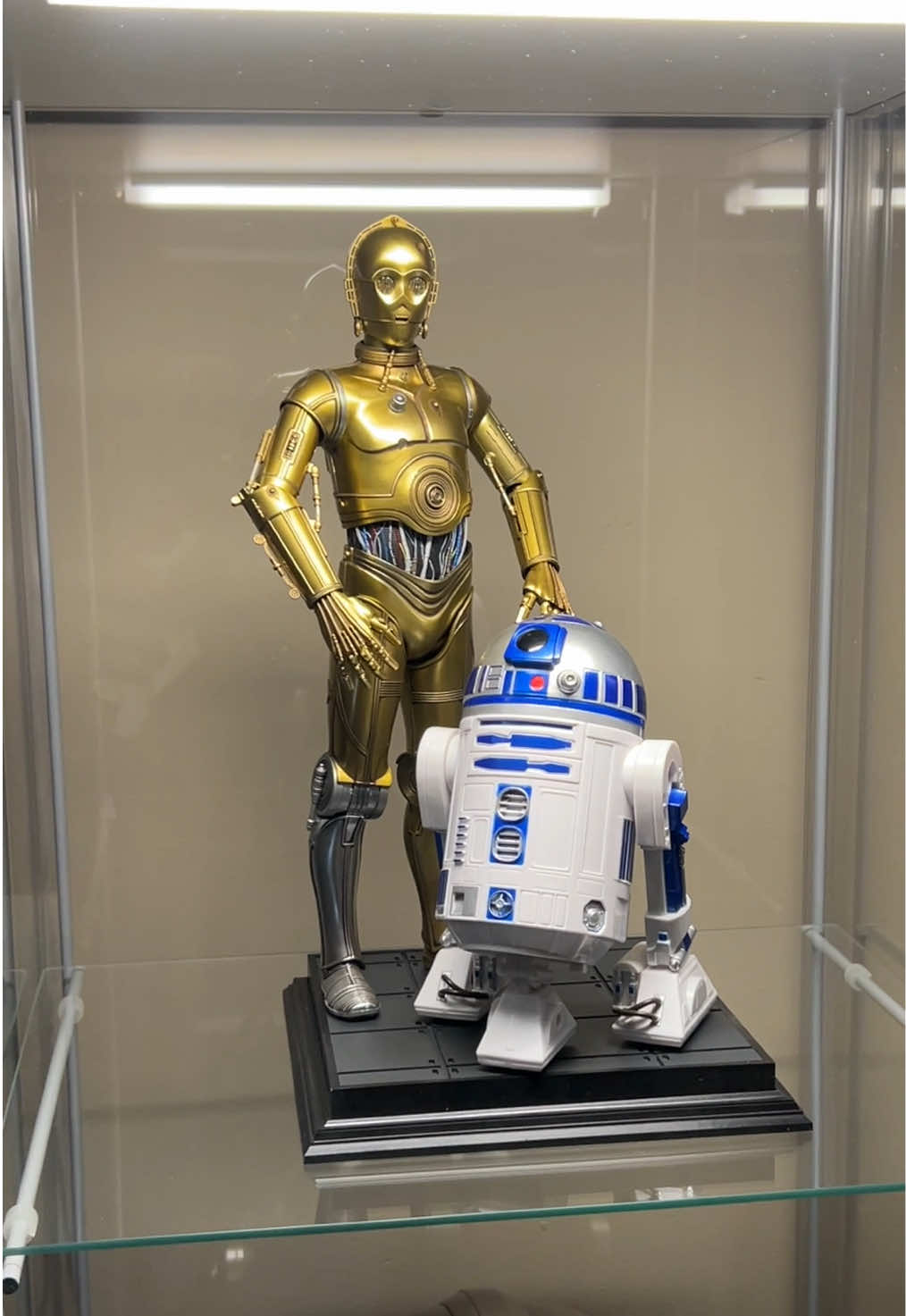 @collectorscave06