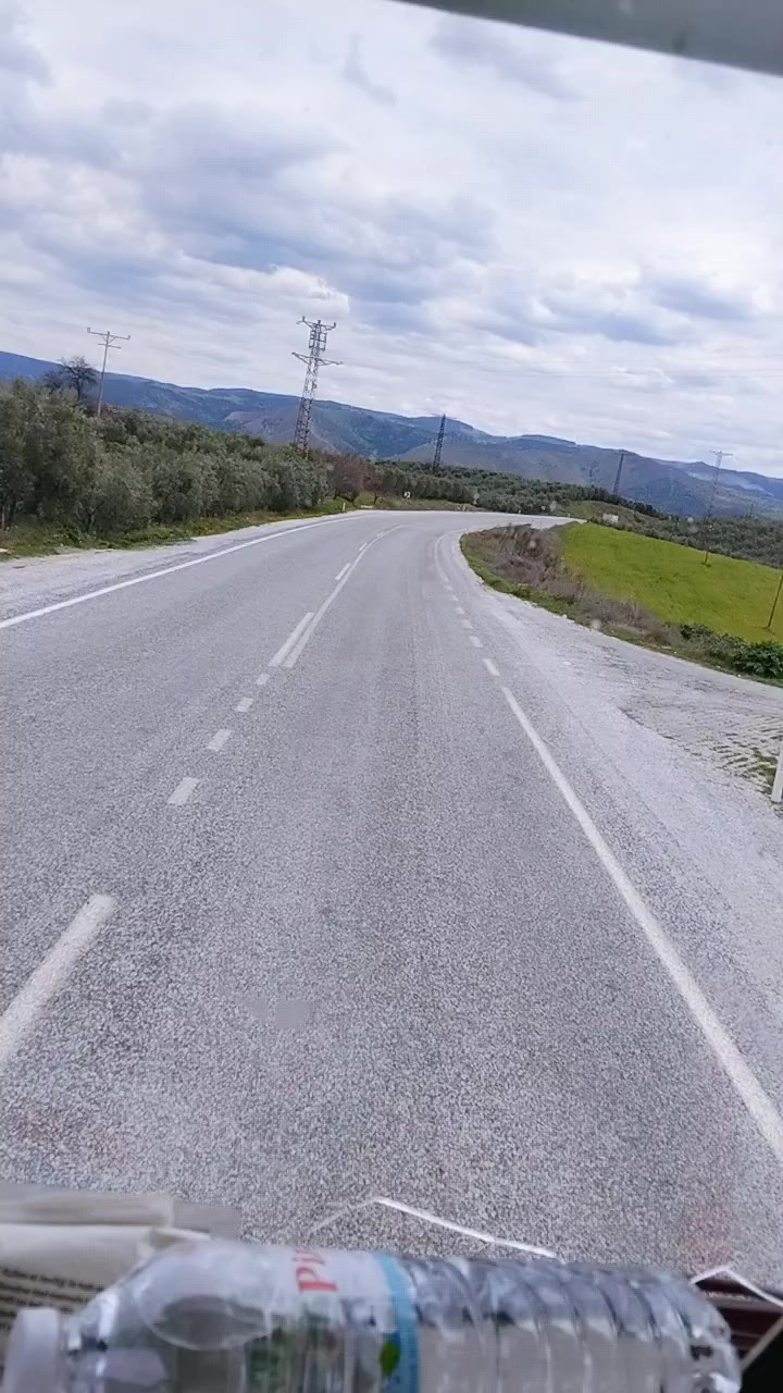 @&Ccedil;ılgın Borlalı