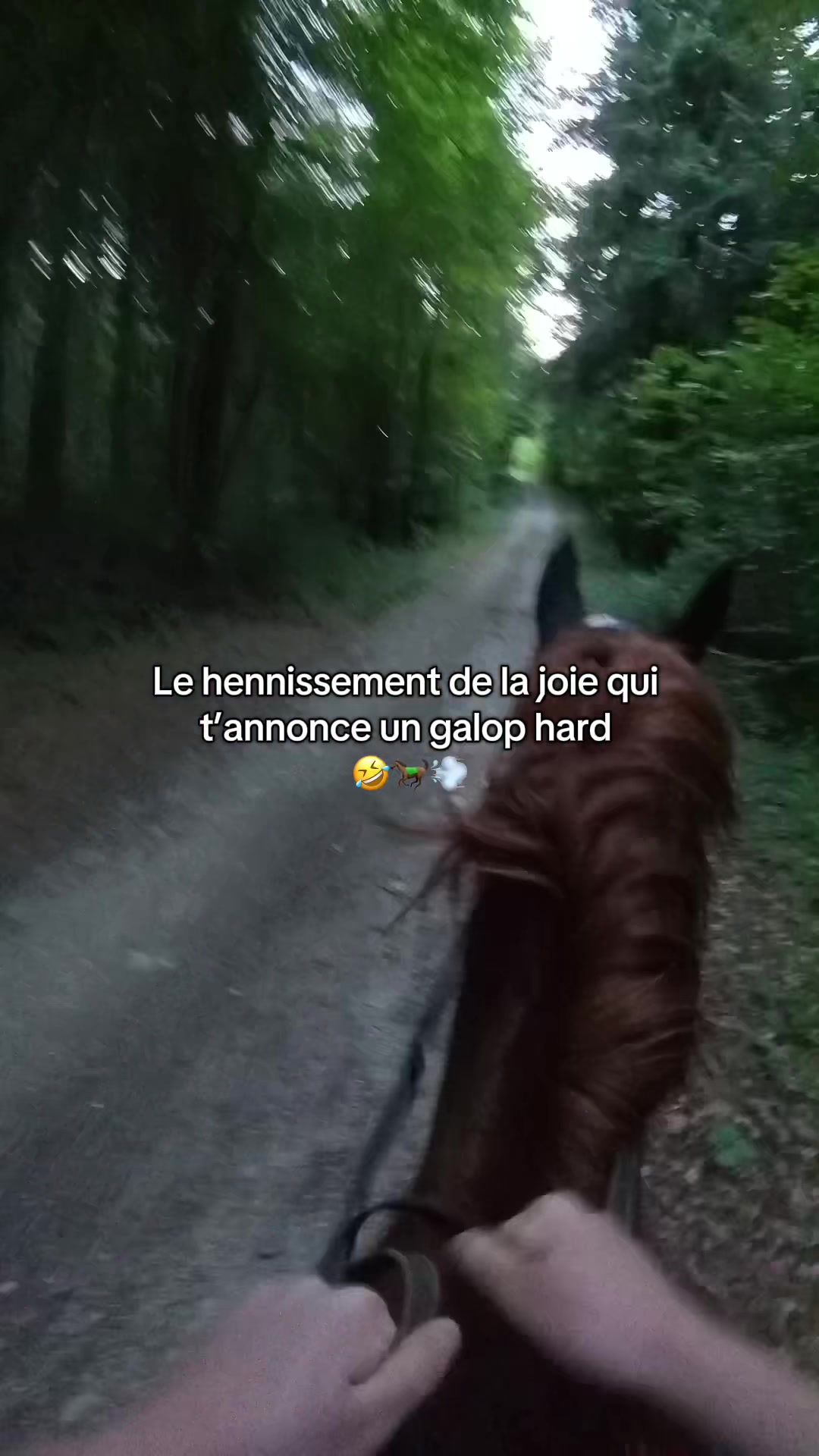 @Rolly&compagnie