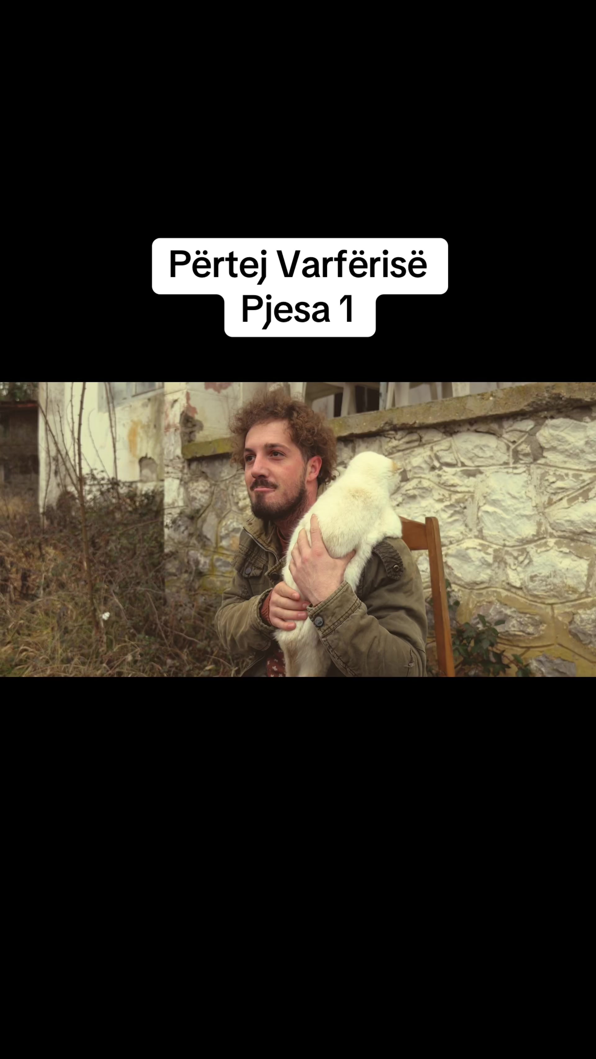@humor.video