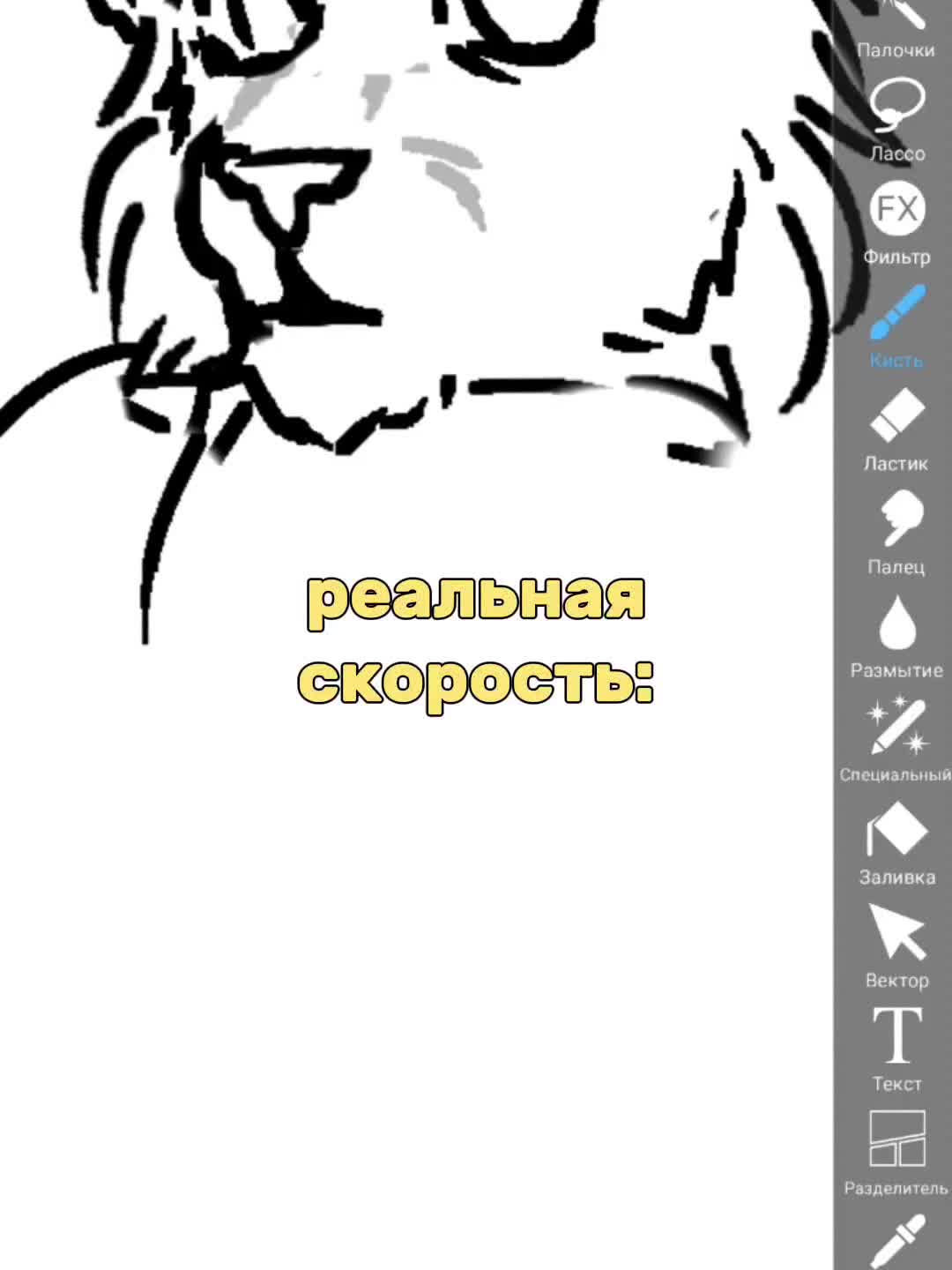 @Skercy 🪽