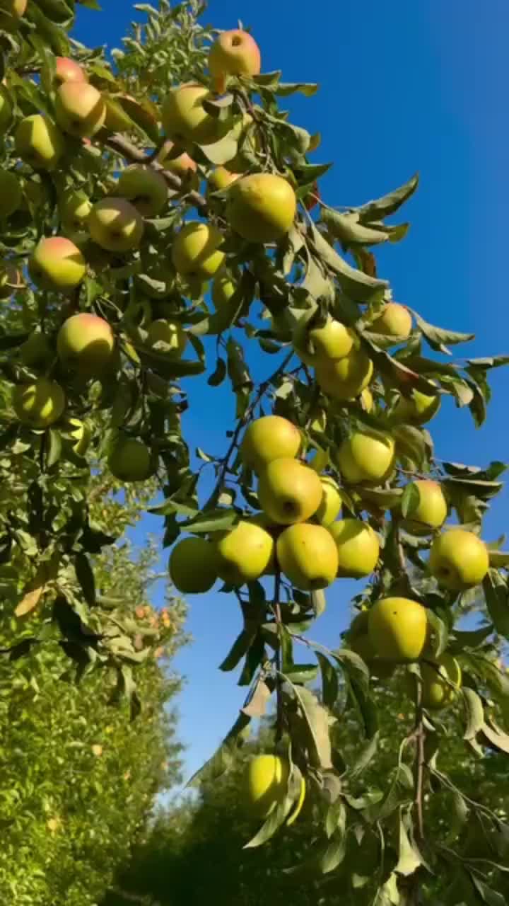 @motivational._.speech5