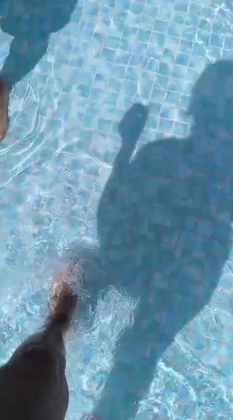 @LilianaEne