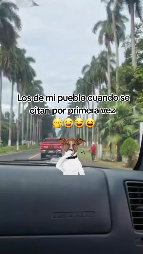 @🤍🌷Sucely🌷👑