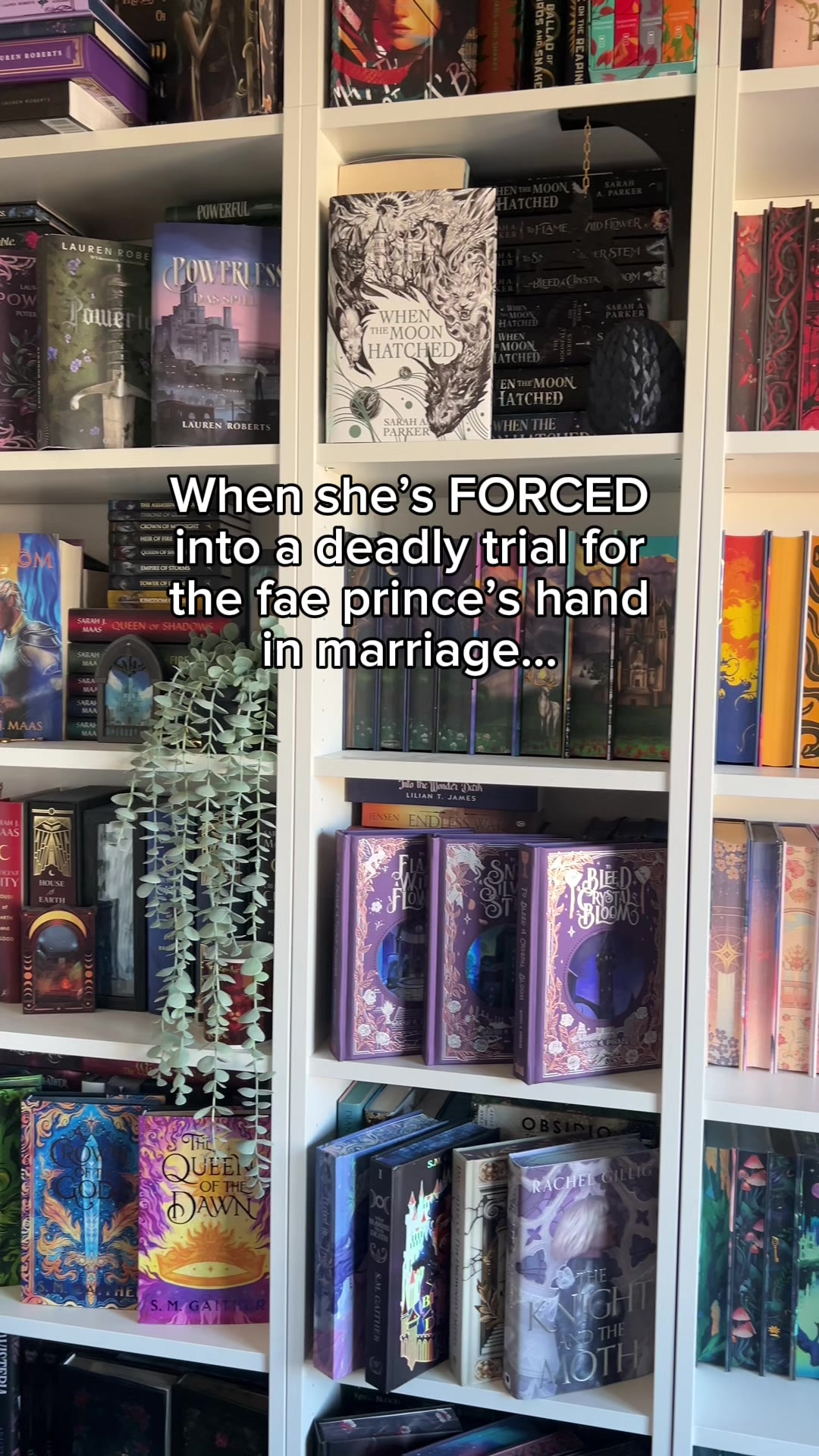 @Arcadia Rayne - Author