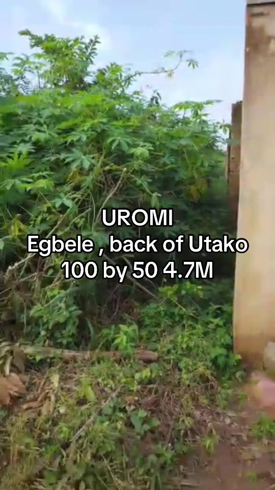 @AGENT FOR EKPOMA AND BENIN🏠