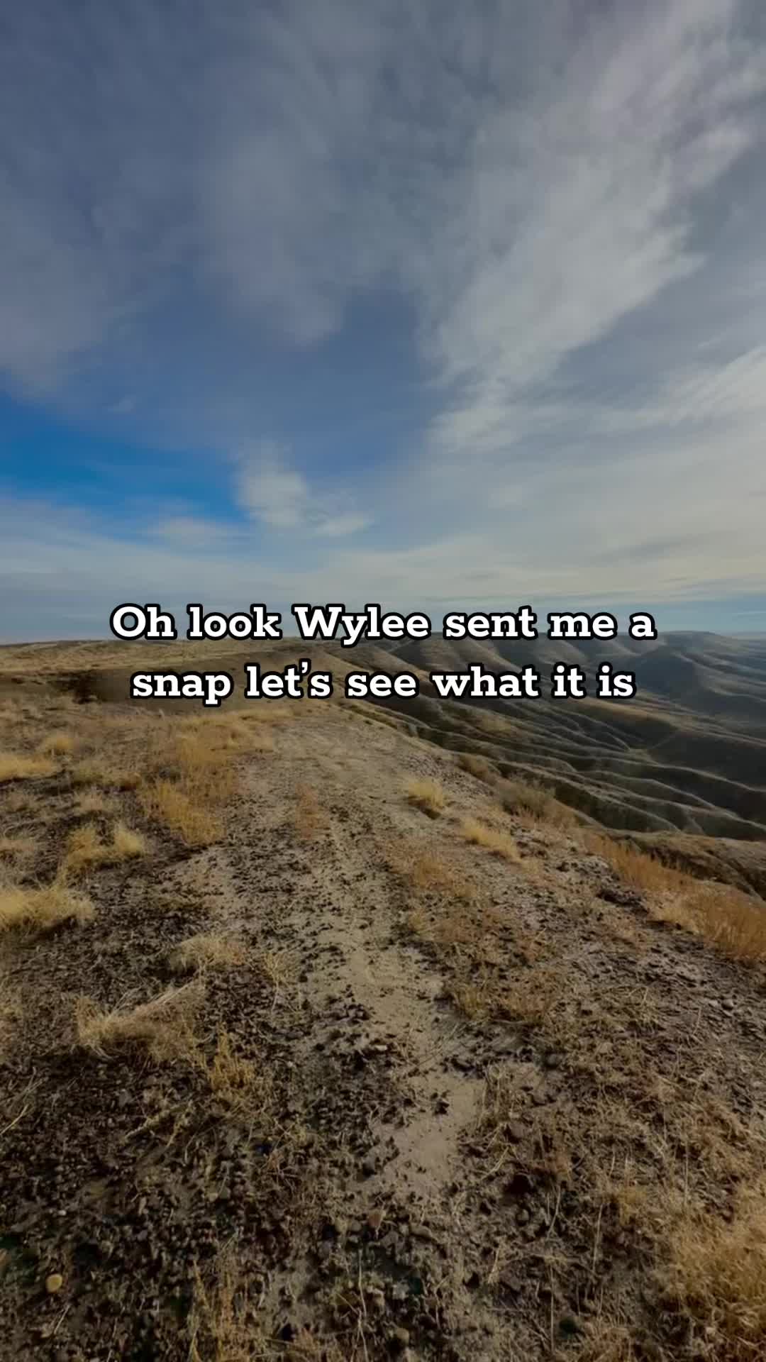 @Gabe Araujo