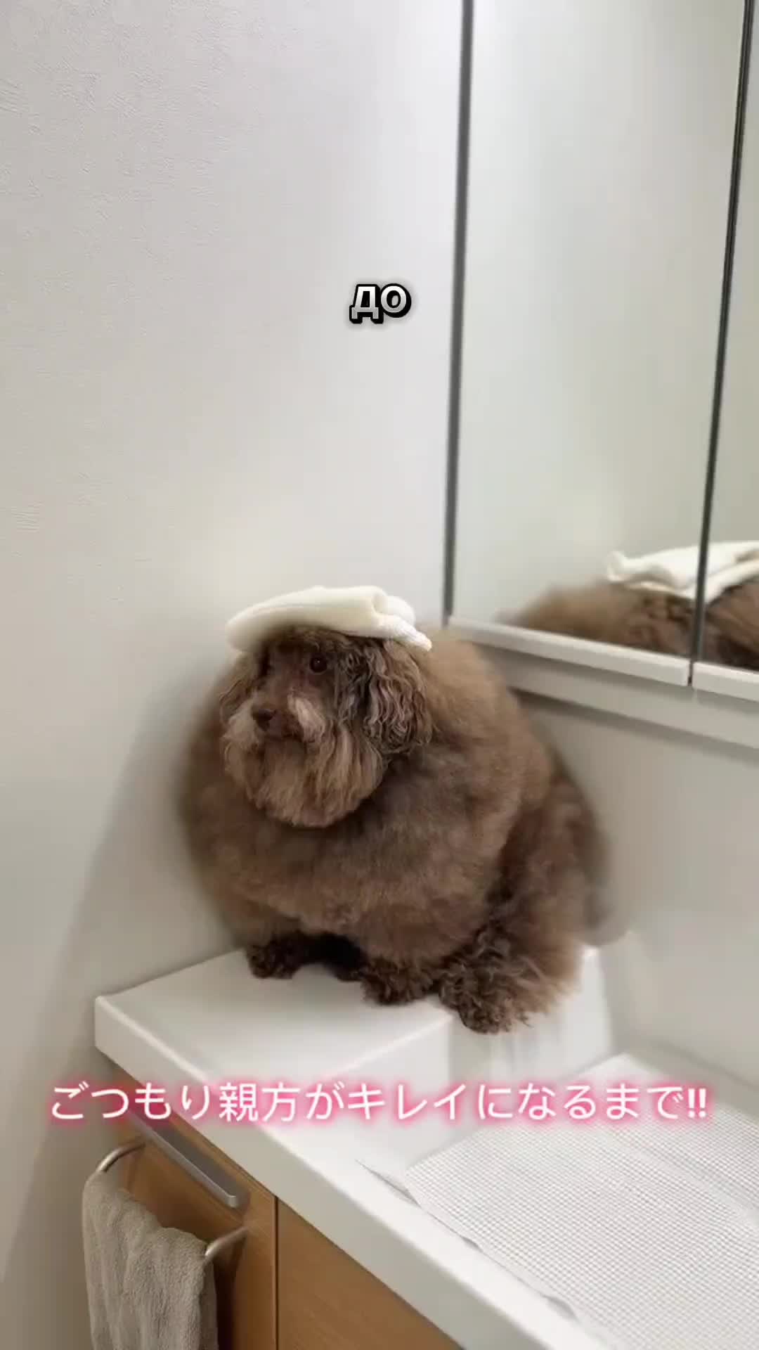 @ипучи