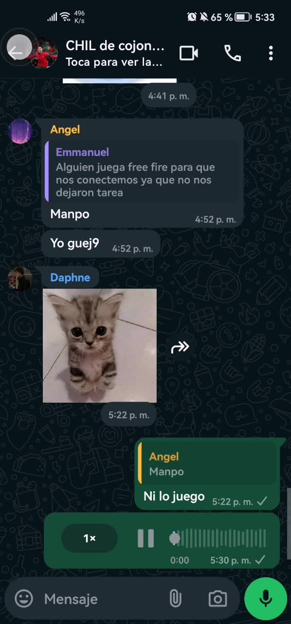 @pepitoxb