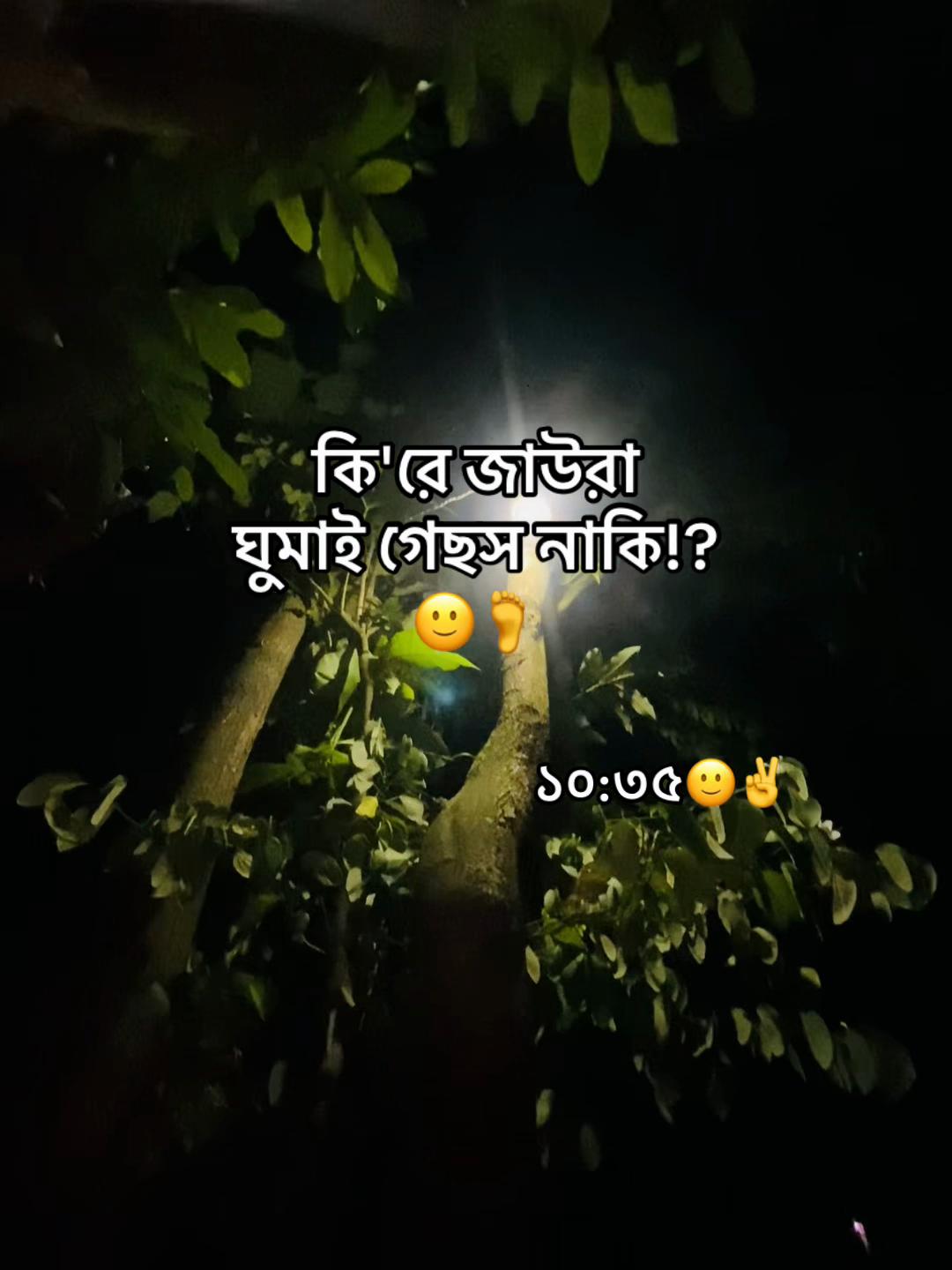 @টিক-টিকি