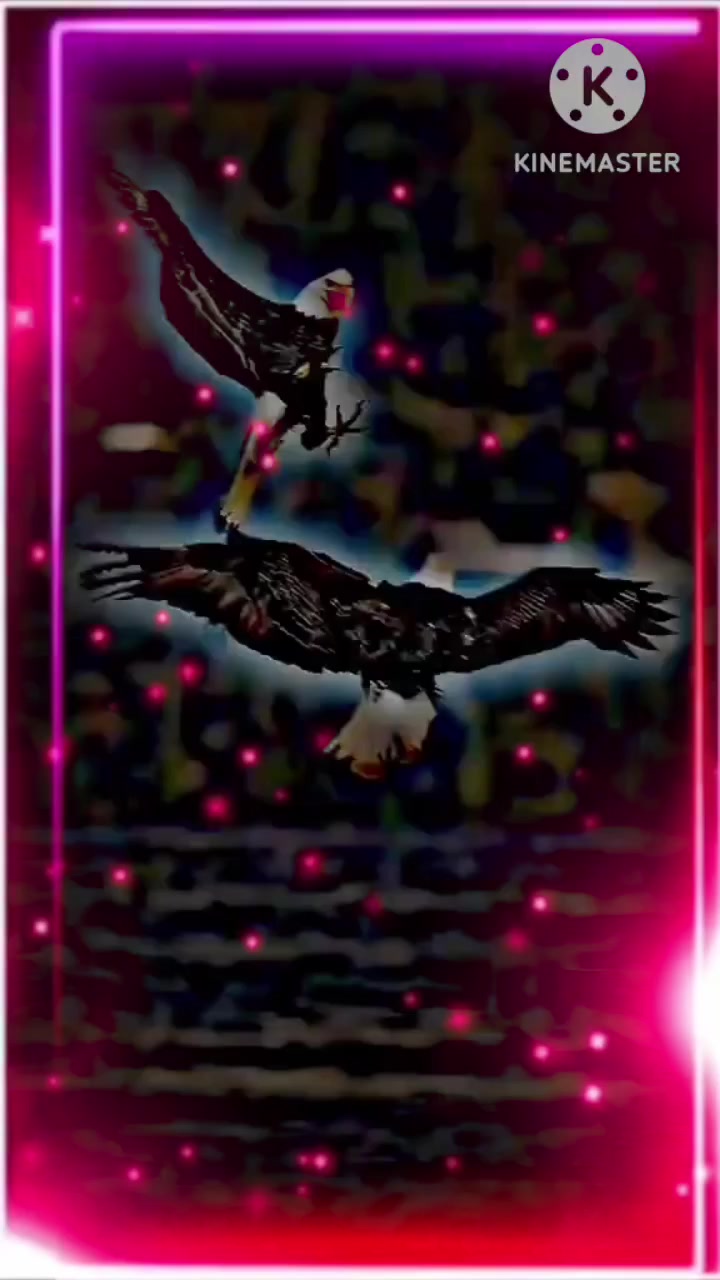 @🔥𝐀𝐃𝐌𝐈𝐍◌ᴋʜᴏᴋʜᴀʀ⎯꯭̽ ⓶³₉♛