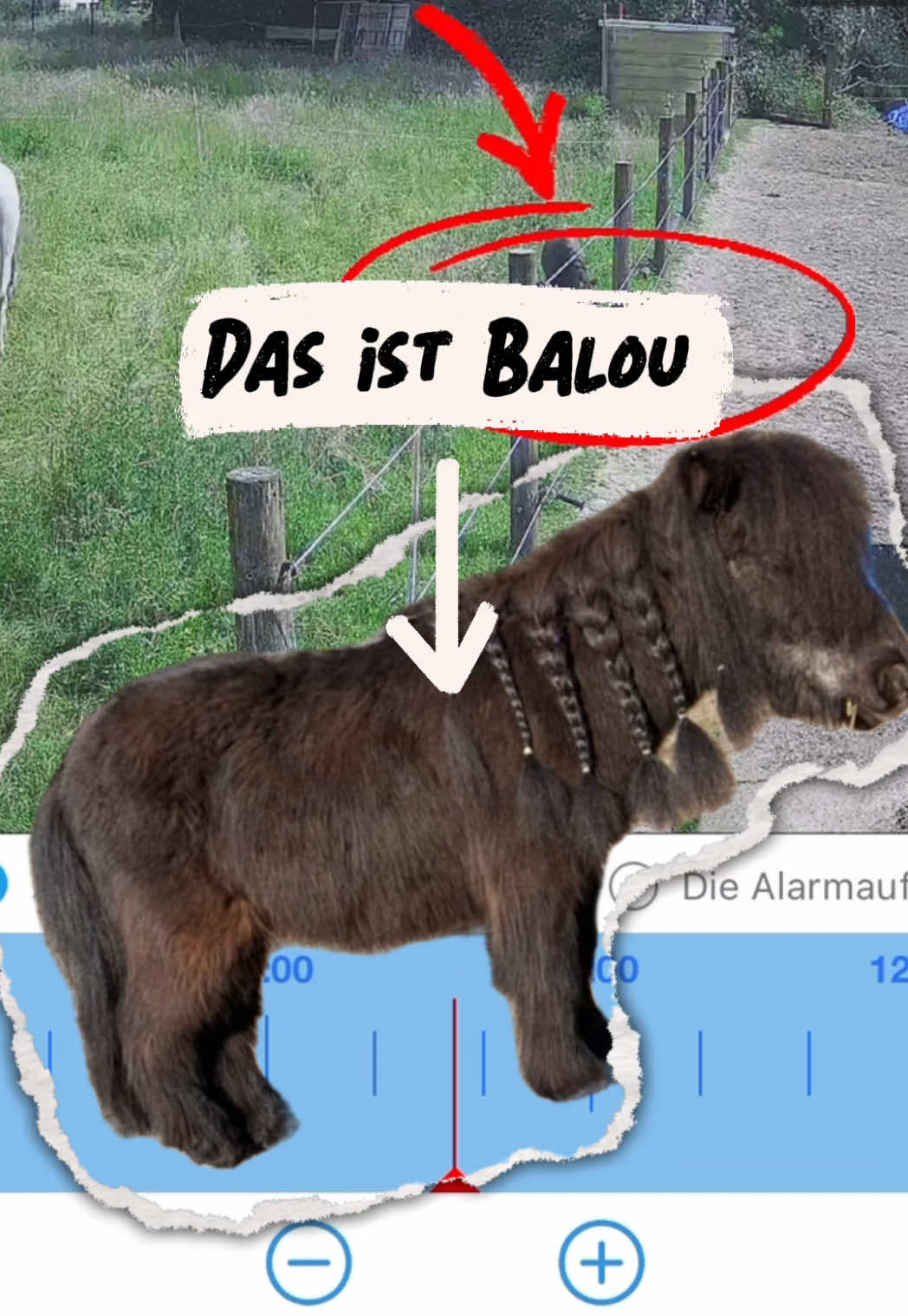 @Fabienne