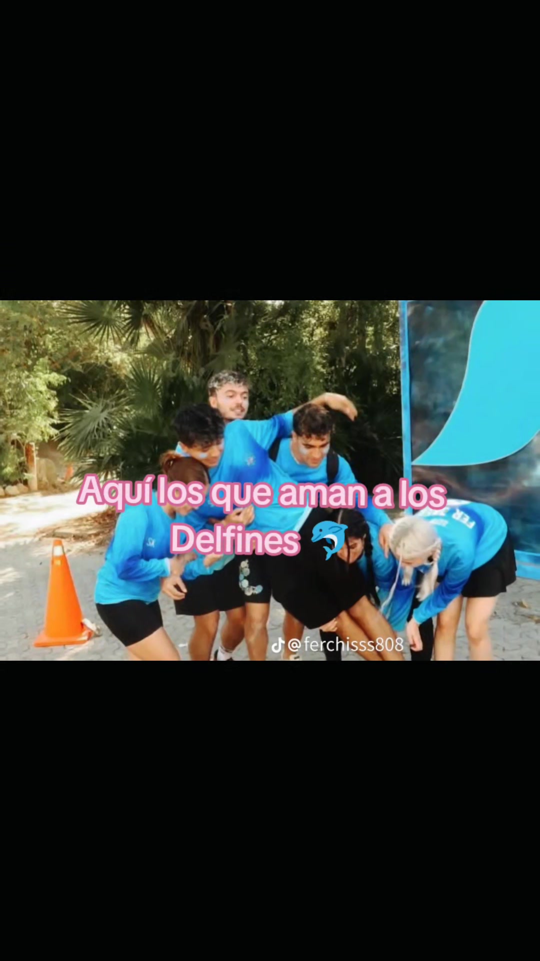 @🐬Delfines🐬