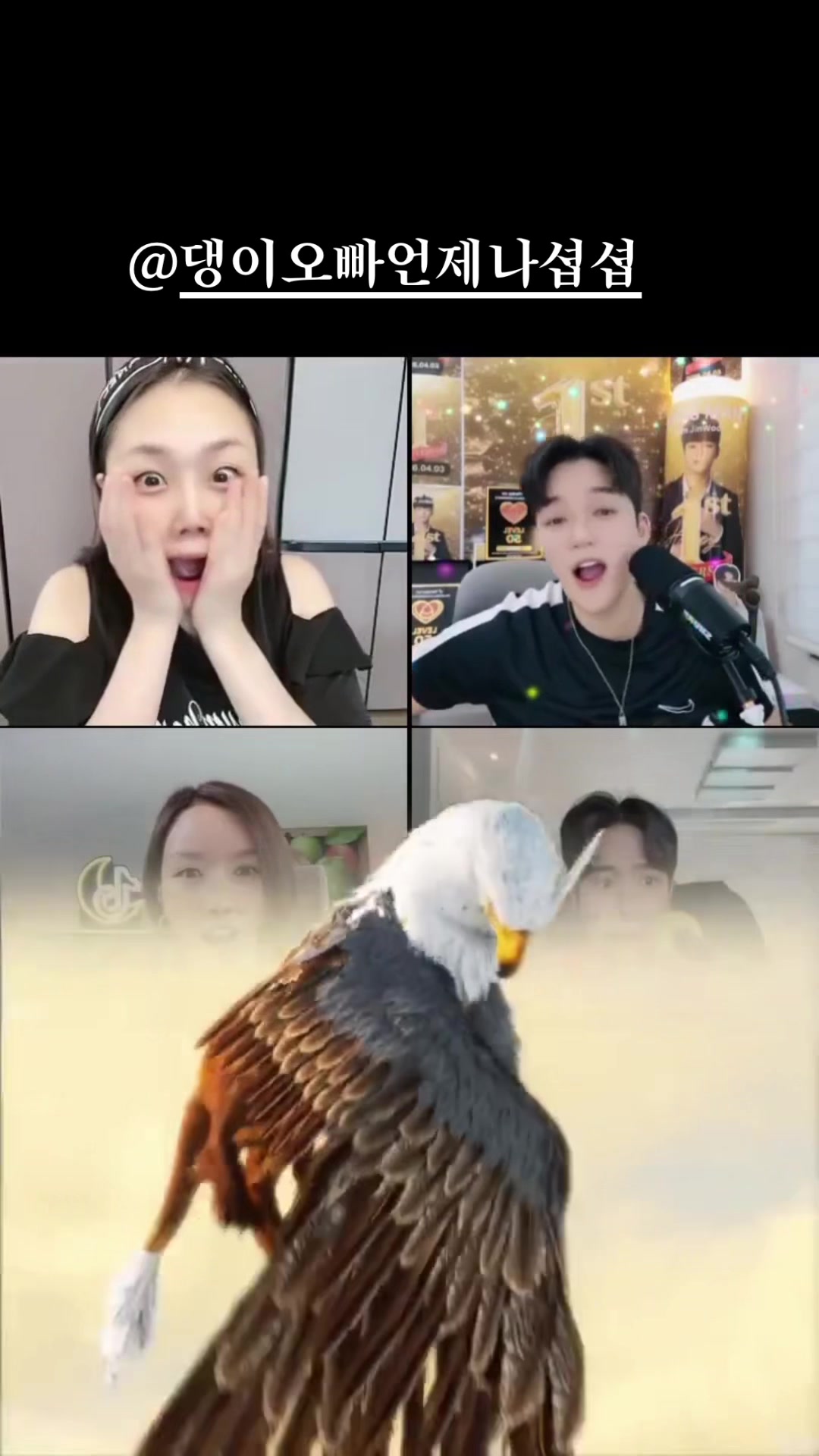 @샤댕이❦⋆