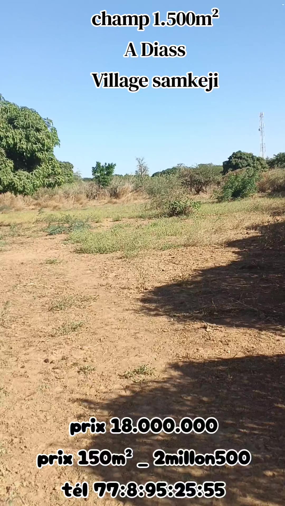 @Sénégal dakar habitat 🇸🇳