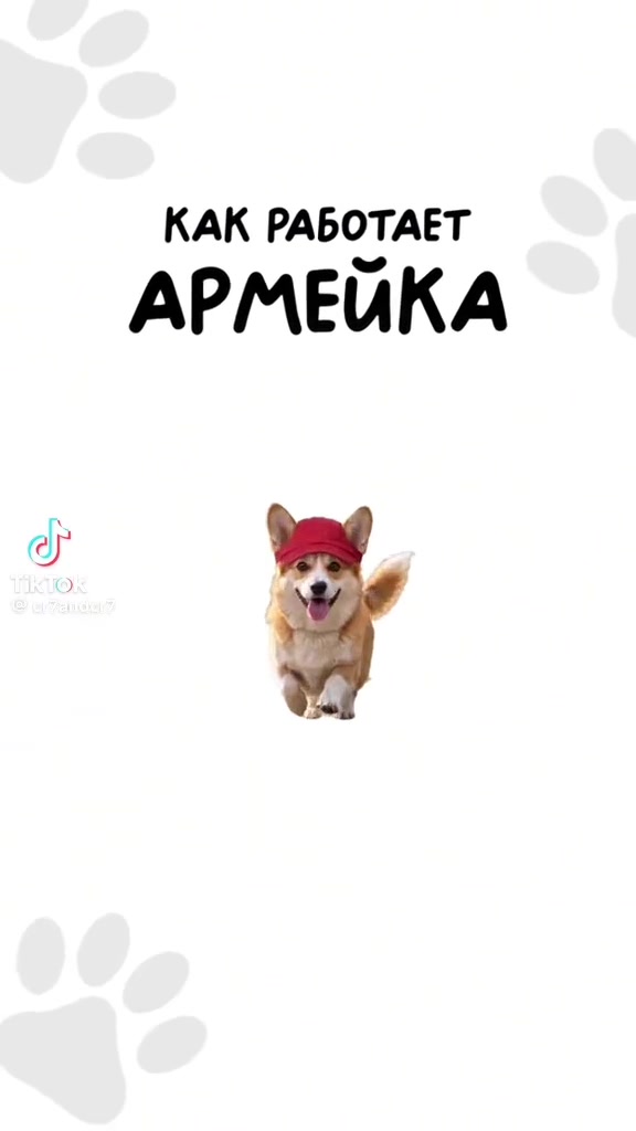 @yurachka__kr