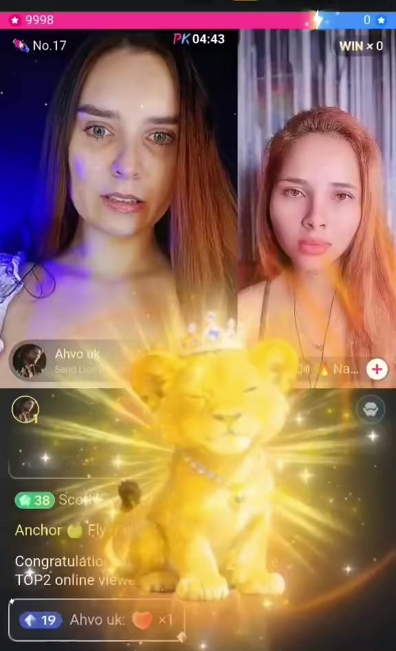 @flyerstreamer