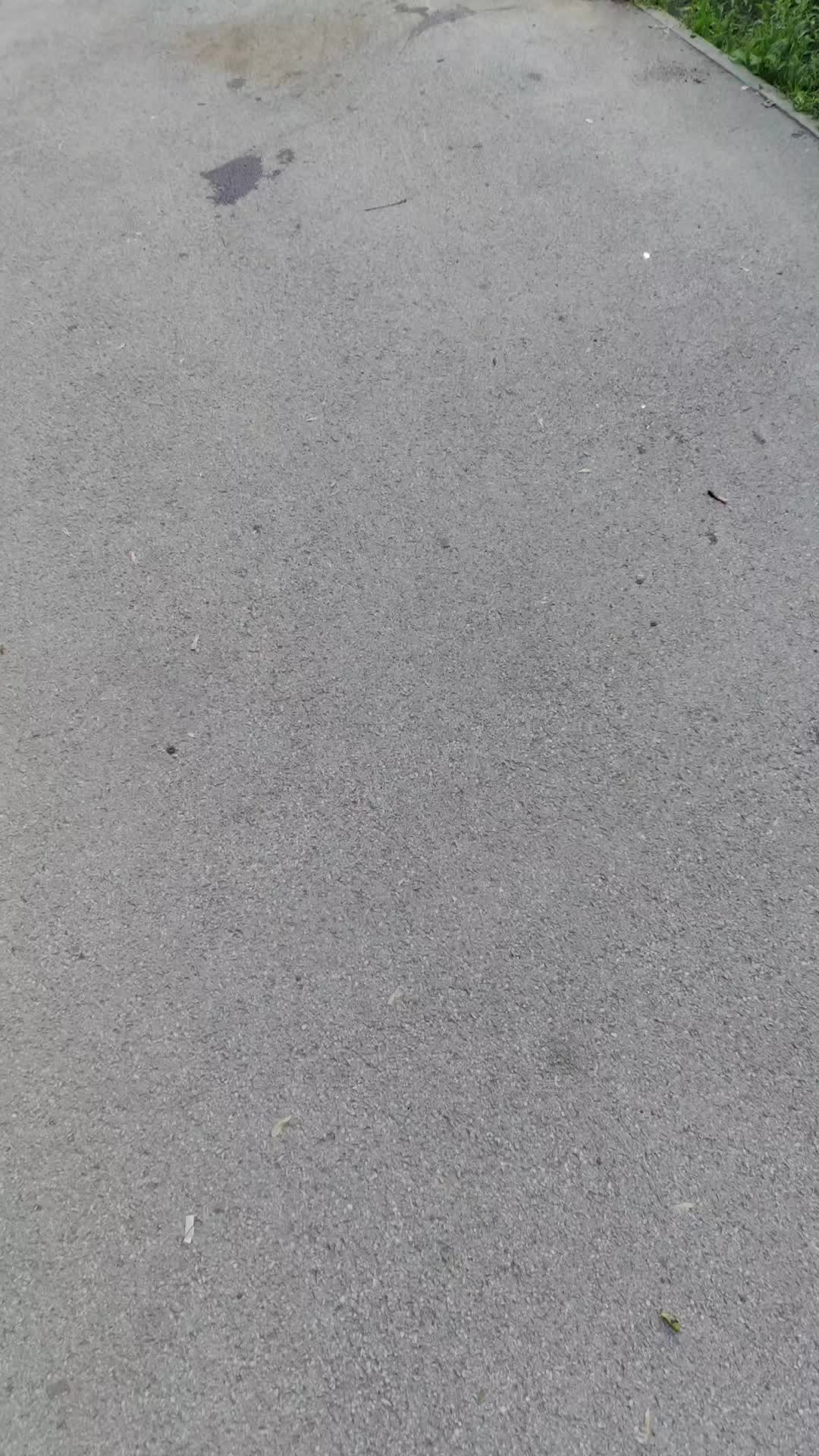 @ᴛʟᴛ ᴘʀᴏᴅ ᴄᴀʀs