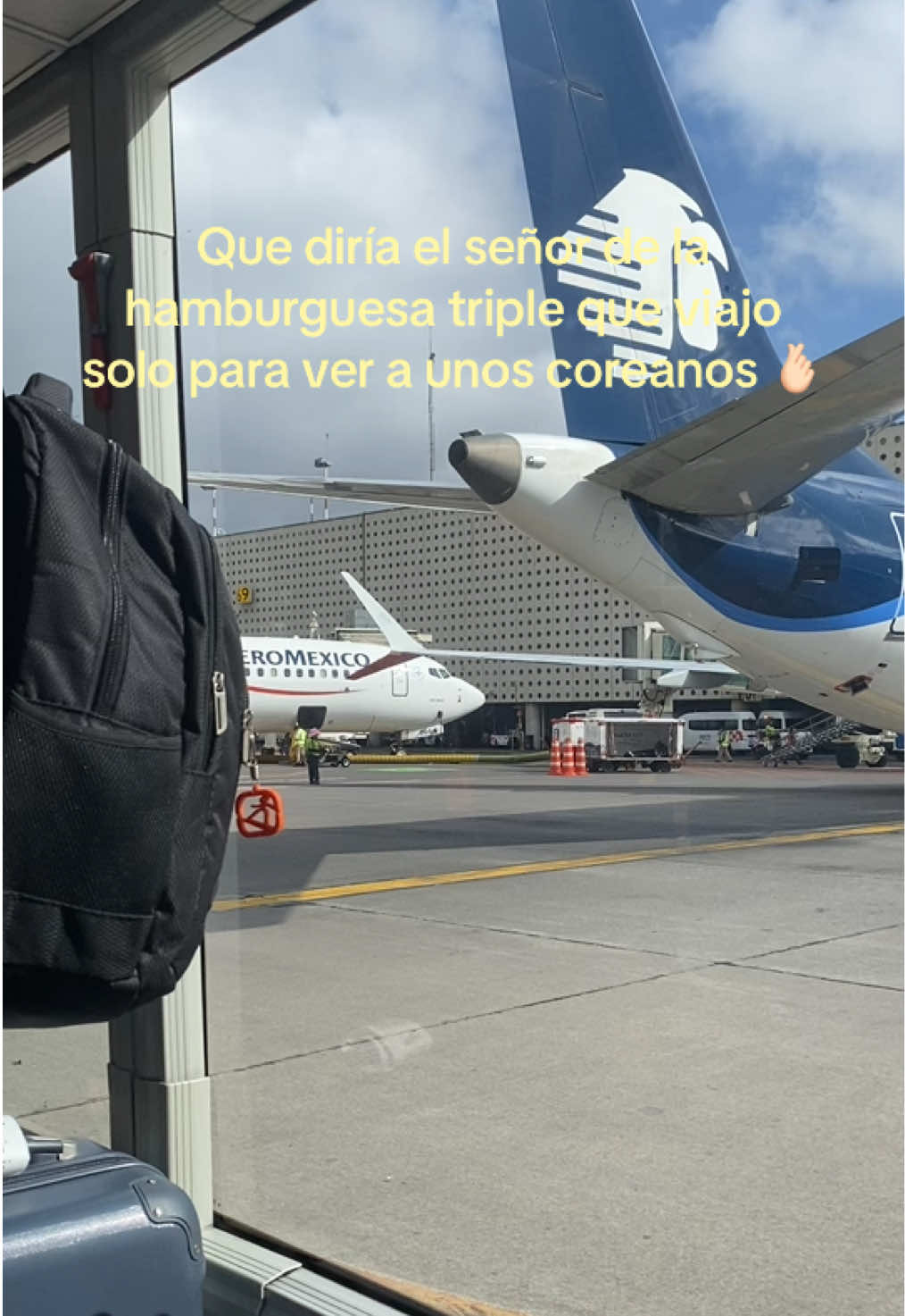 @Paola Felix