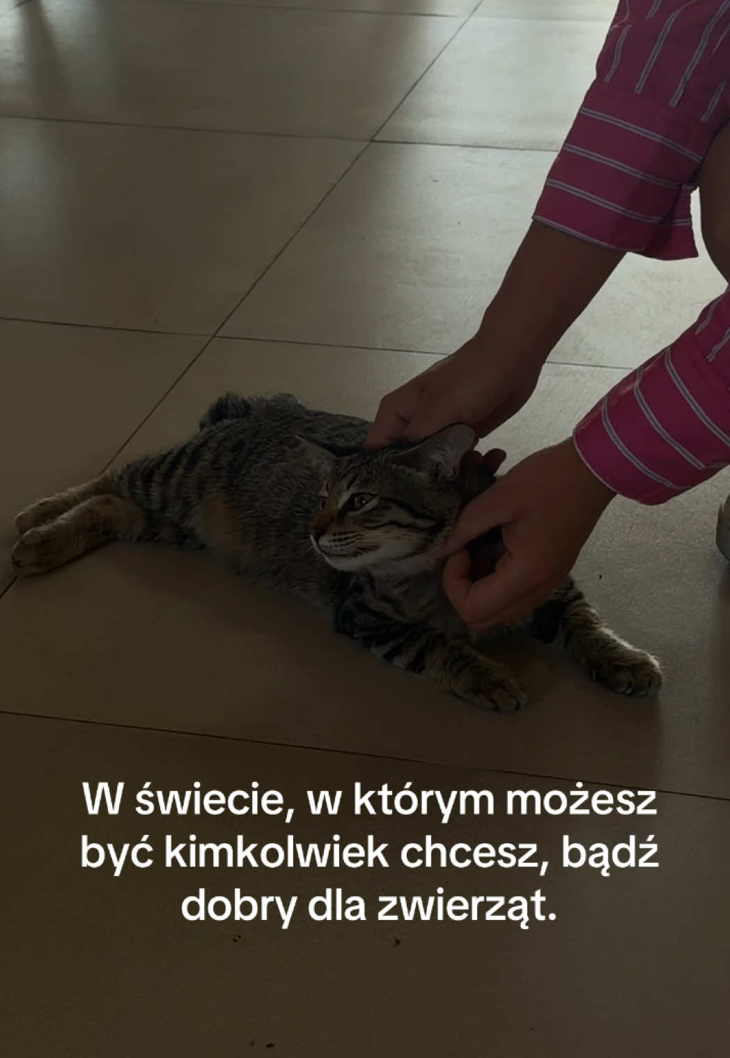 @Dorota Kreft