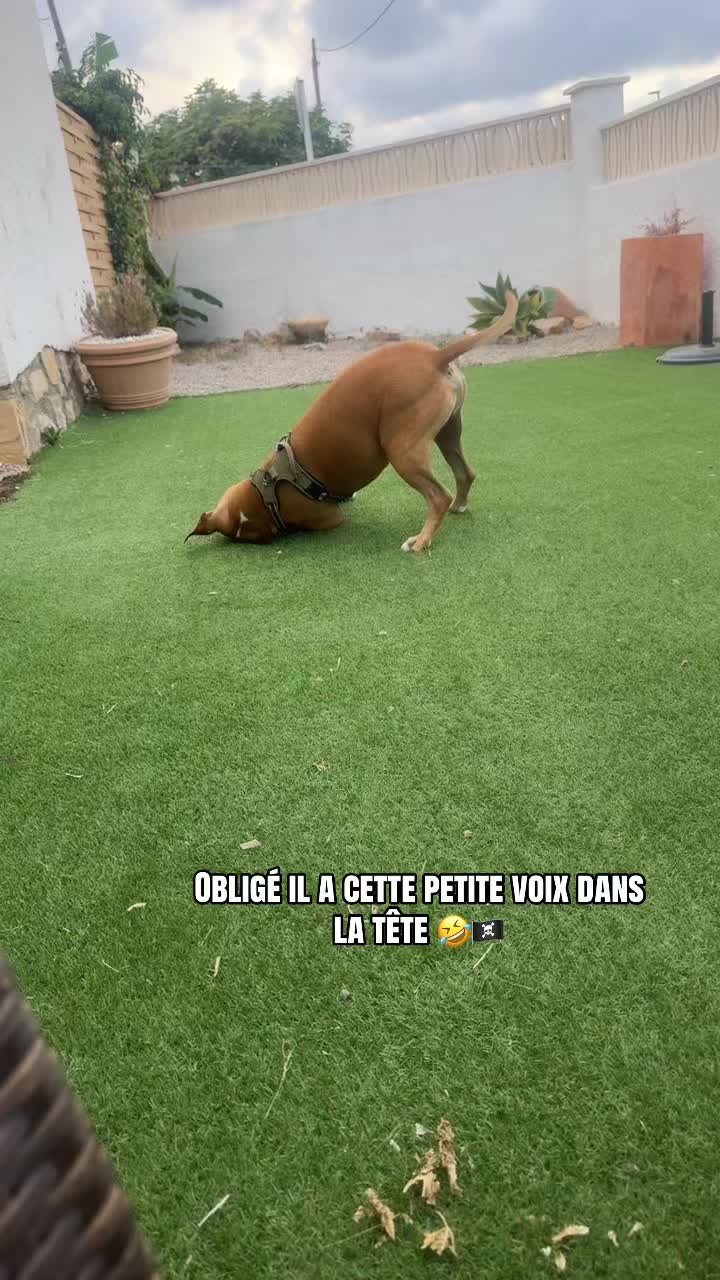 @Labarbiere.dusud