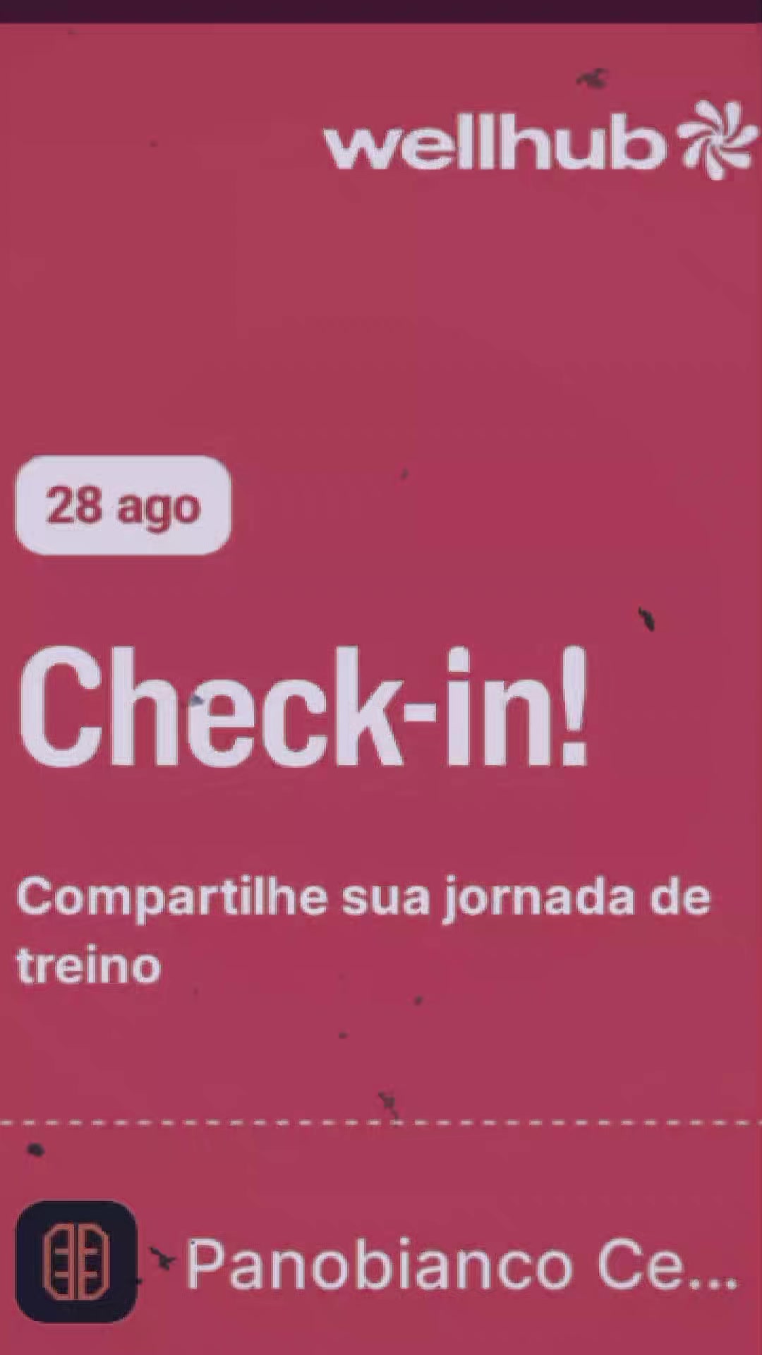 @fabi