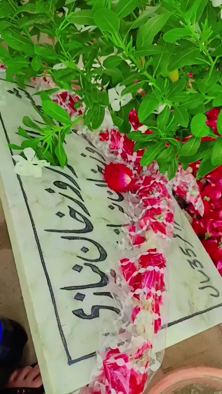 @Jamroz Niazi
