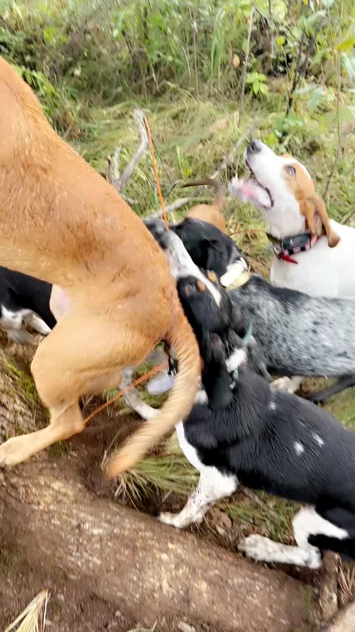 @Tri-County Outdoors