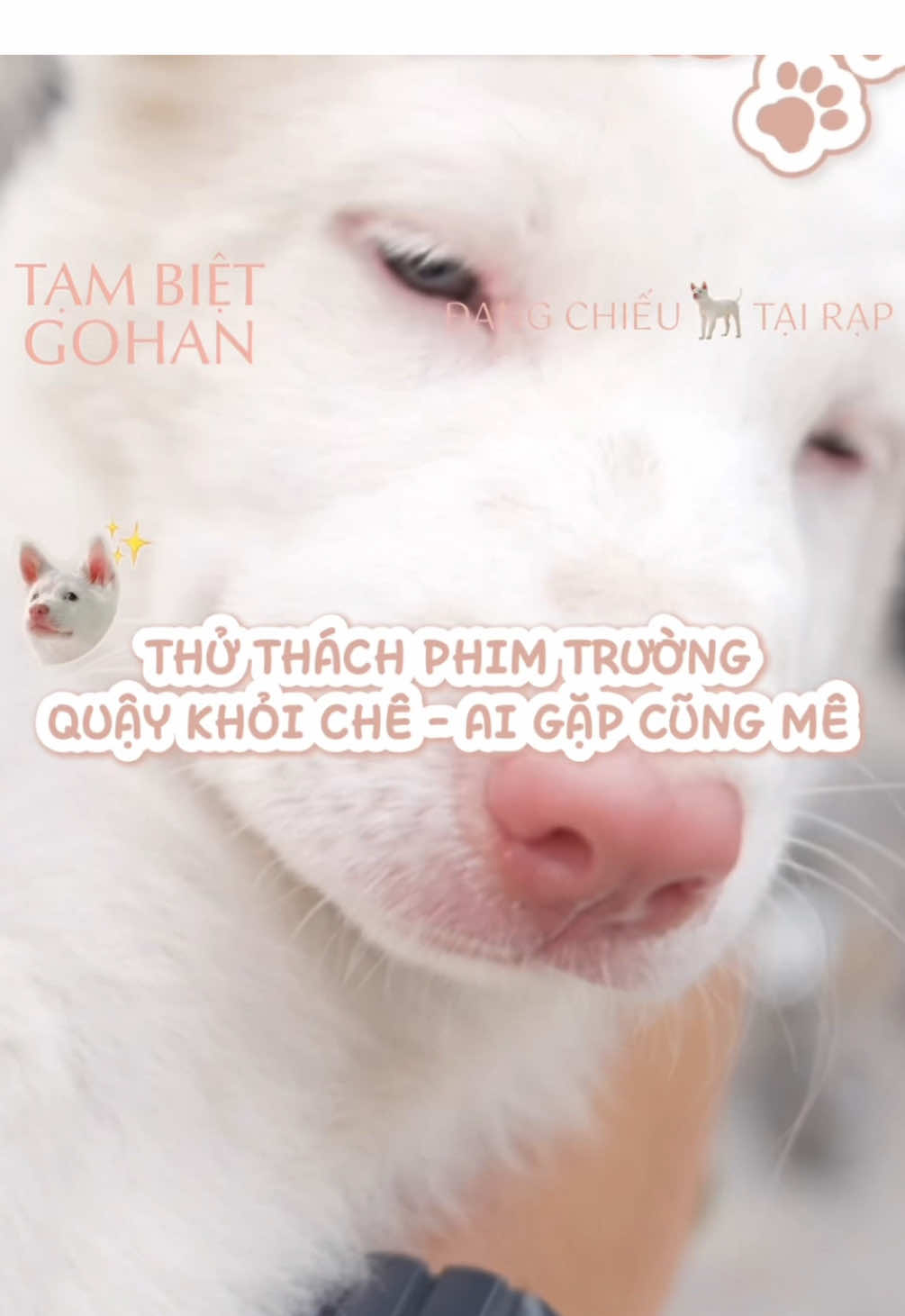 @CJ ENM Vietnam