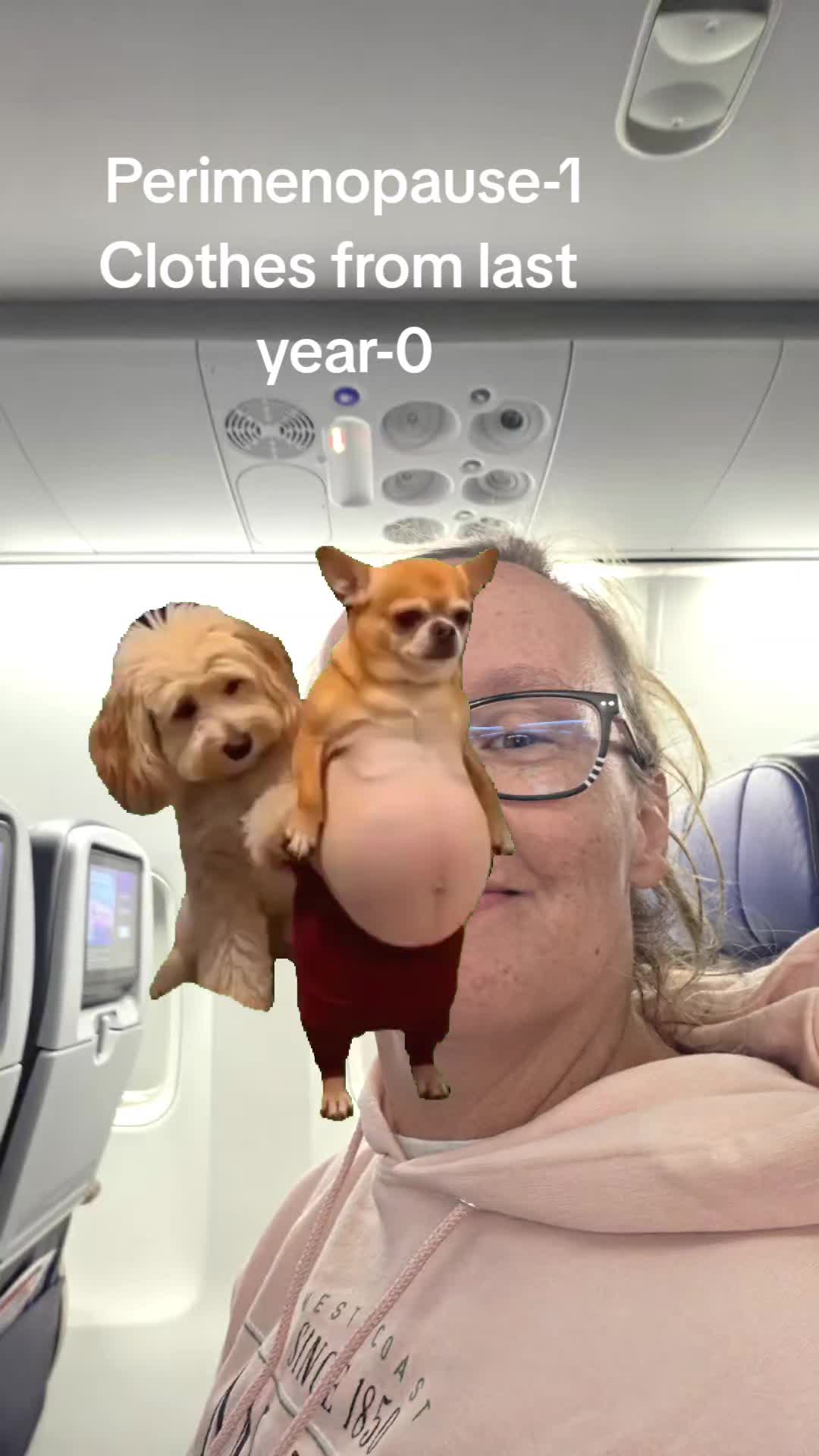 @CatNCoyNCam