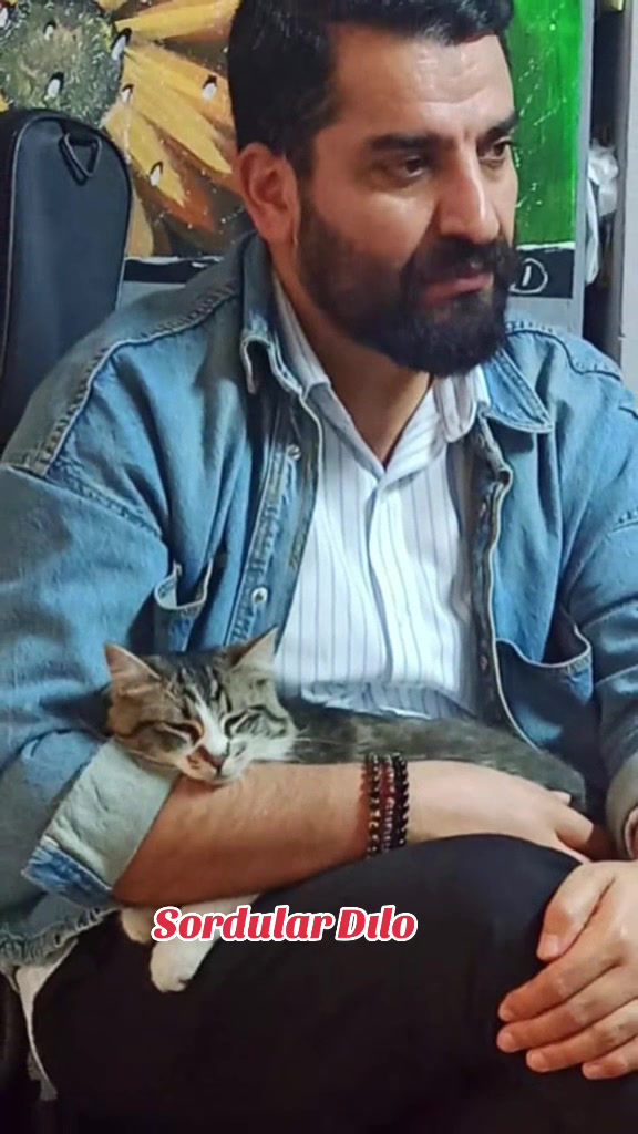 @Celal BAYAR