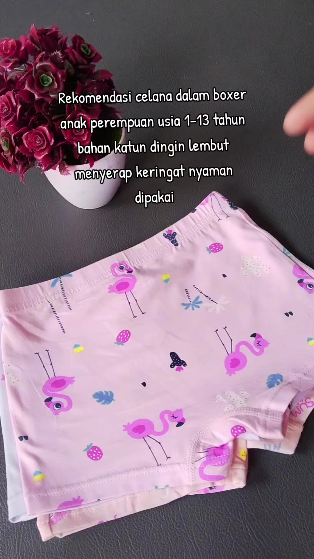 @manuellashop