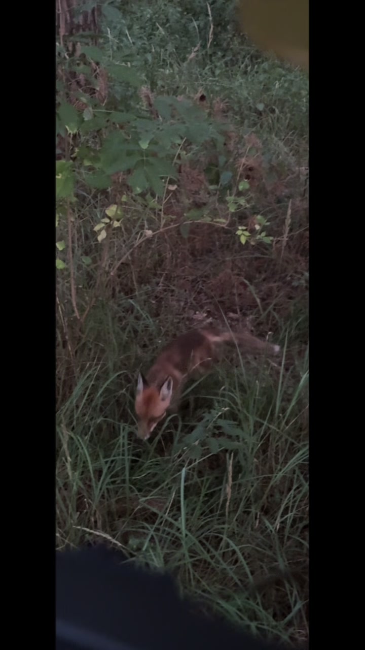 @moczii🐇💫