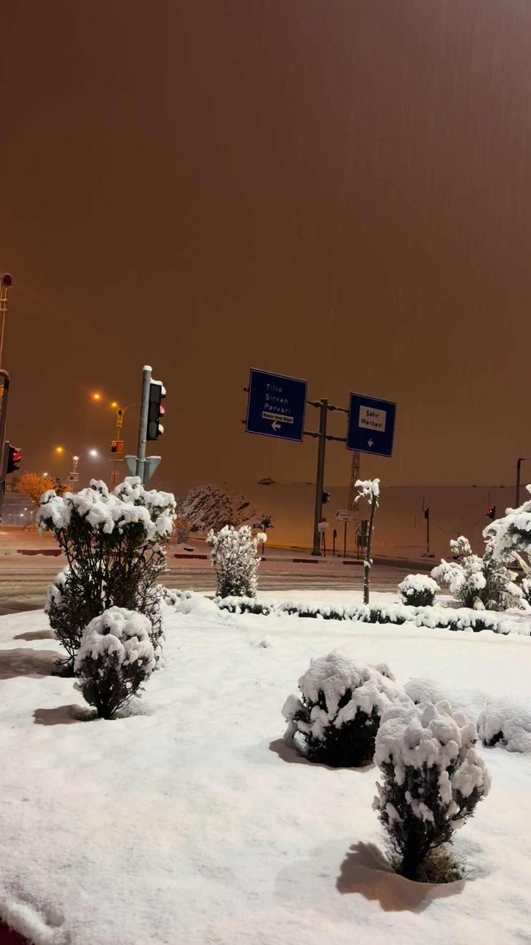 @Reşşo Can