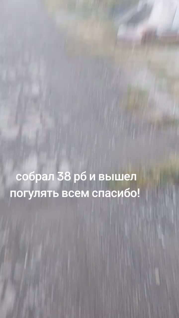 @Корги Боня@