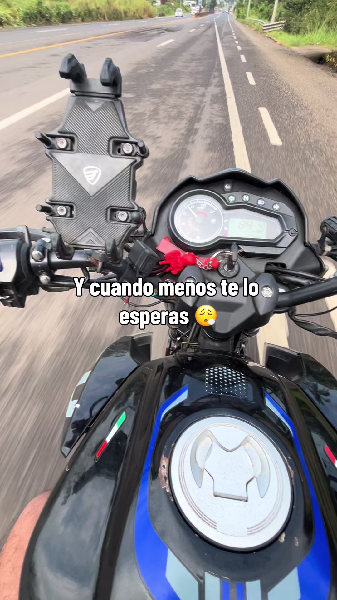 @rodrigo🥷