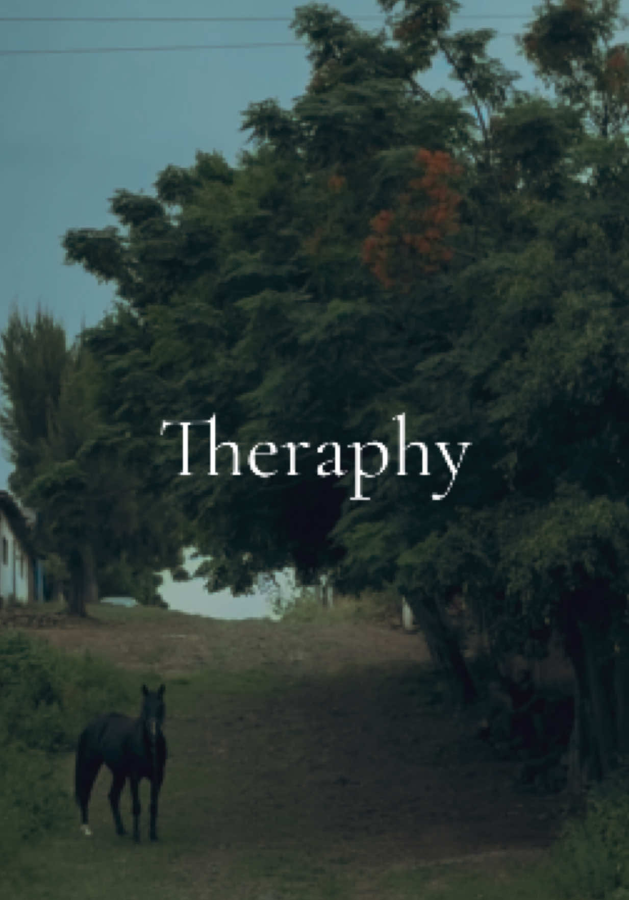 @Andrea Aguiñiga