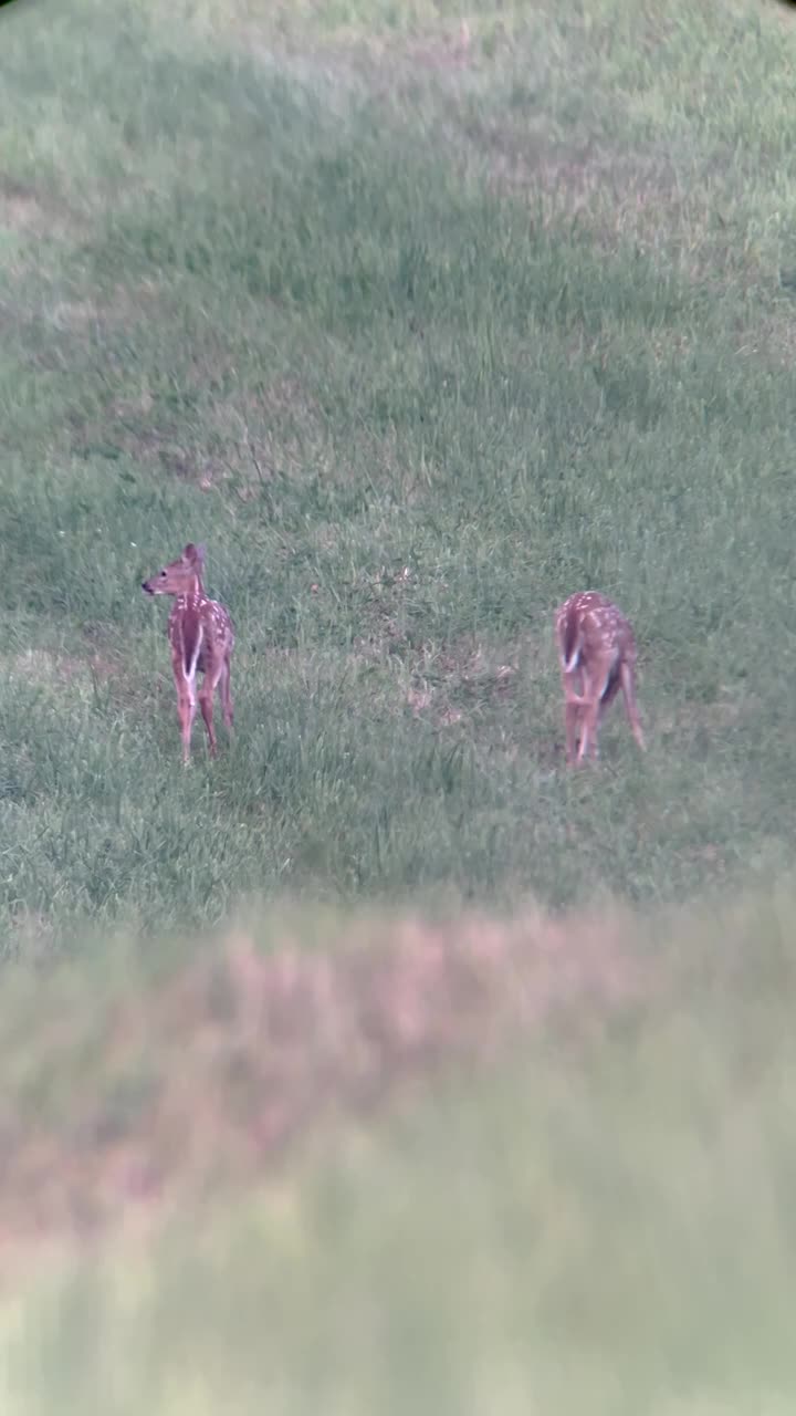 @Something in the Wild 🦬