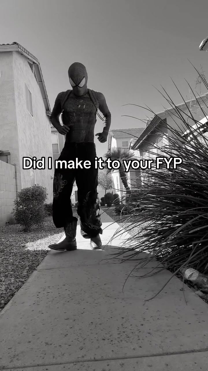 @SPIDA 🕸️