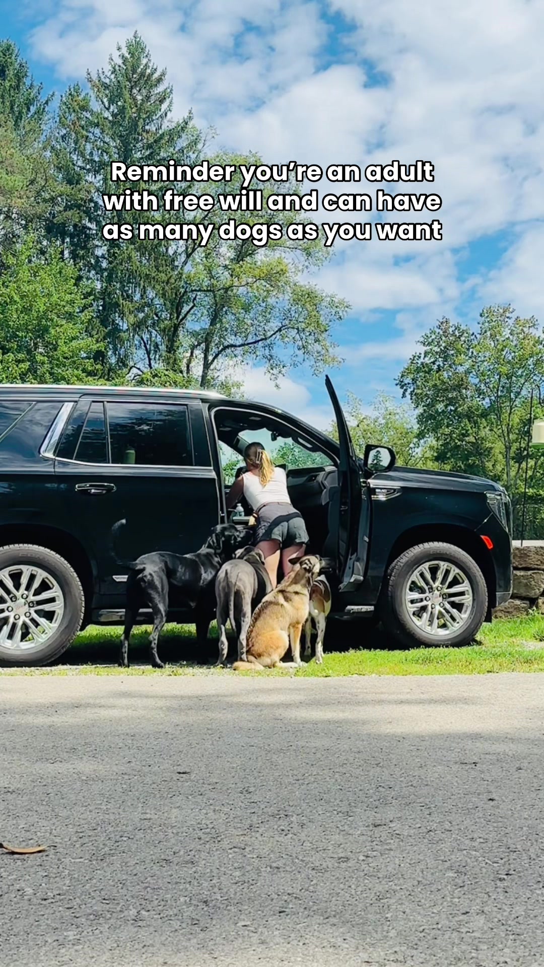 @Taylor + 4 dogs