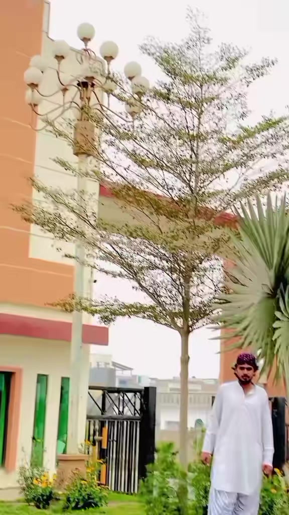 @︻╦デ╤━╼یا مخلص تھی یا یار نہ سڈ