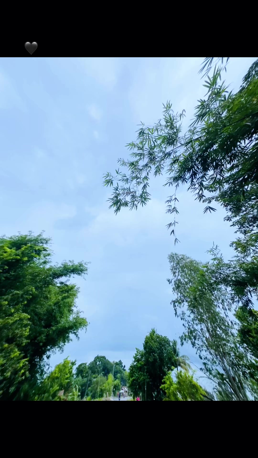 @ãA-sHi—Kã🦋 