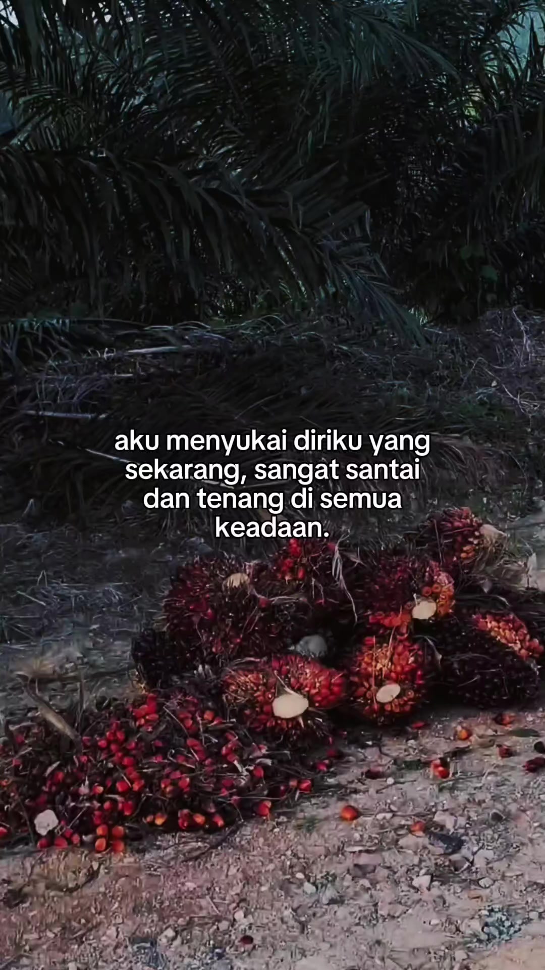 @𝐅𝐈𝐊𝐑𝐘