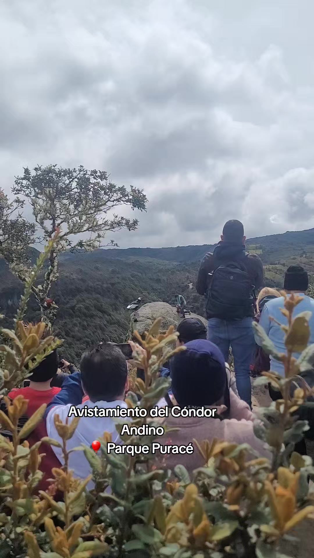 @Popayan Travels