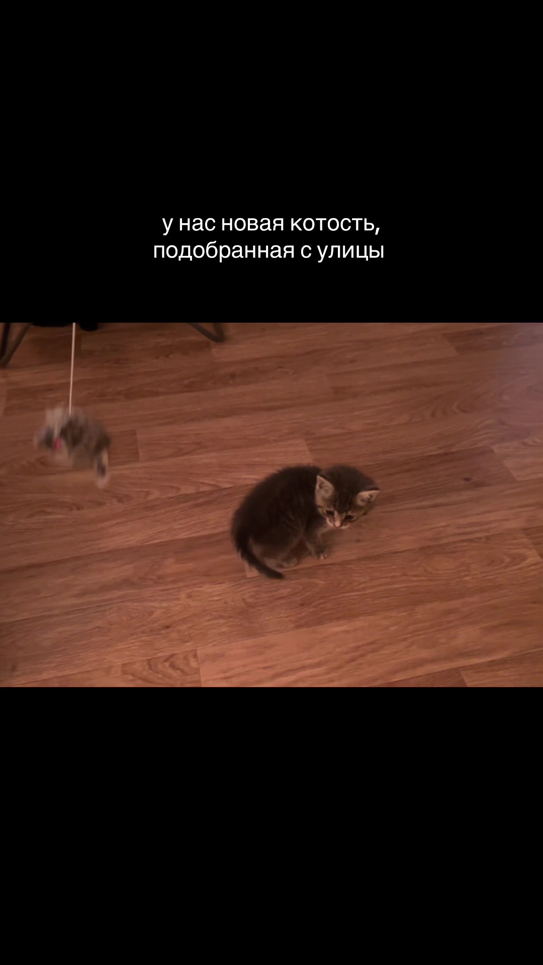 @настюша