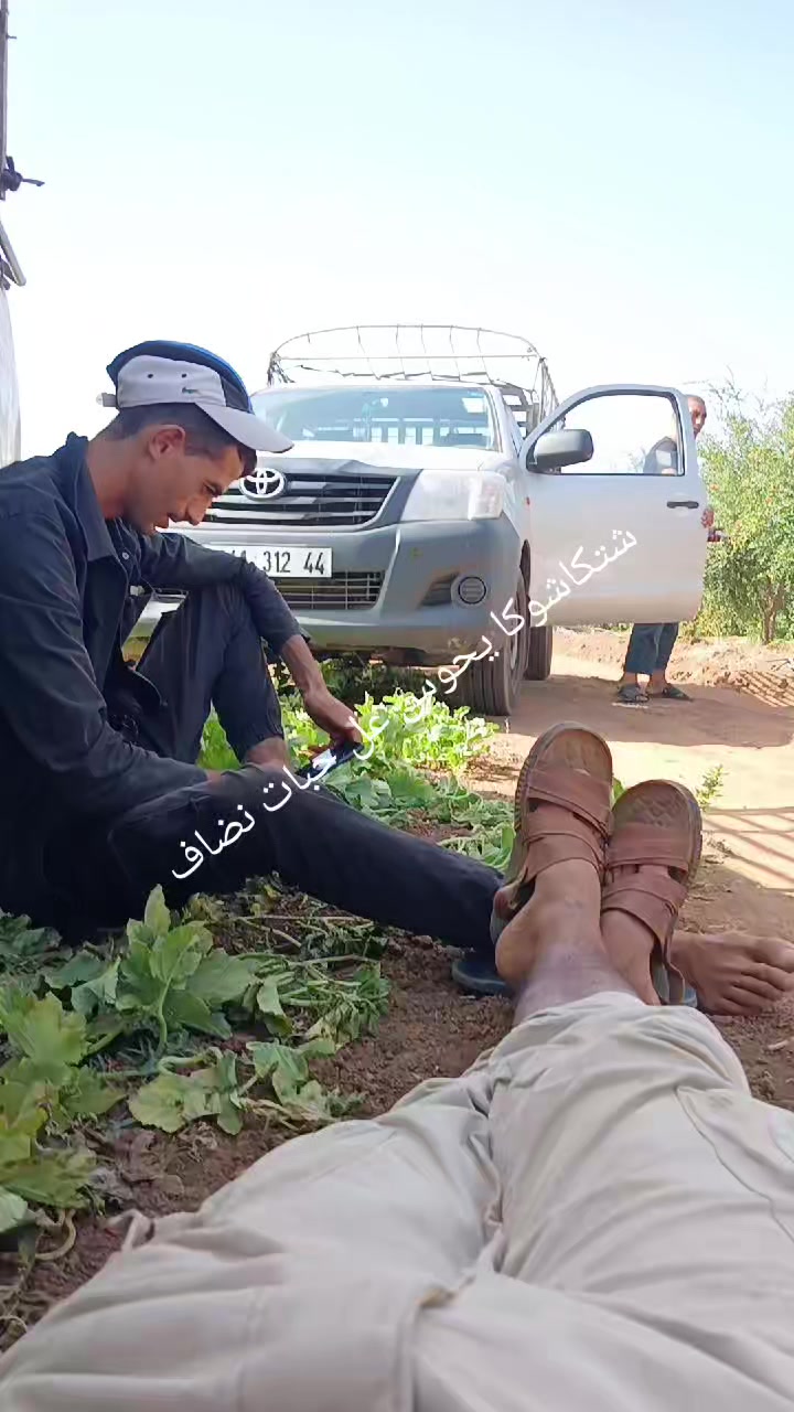 @محمد امين