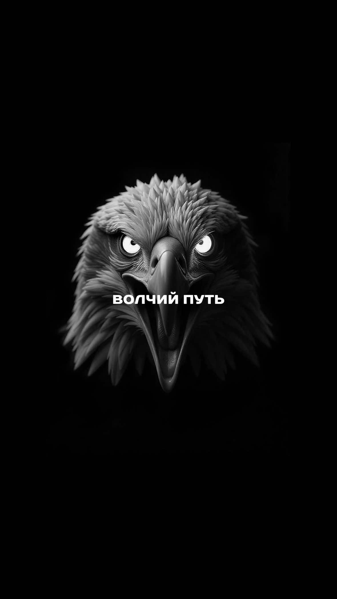 @Волчий Путь
