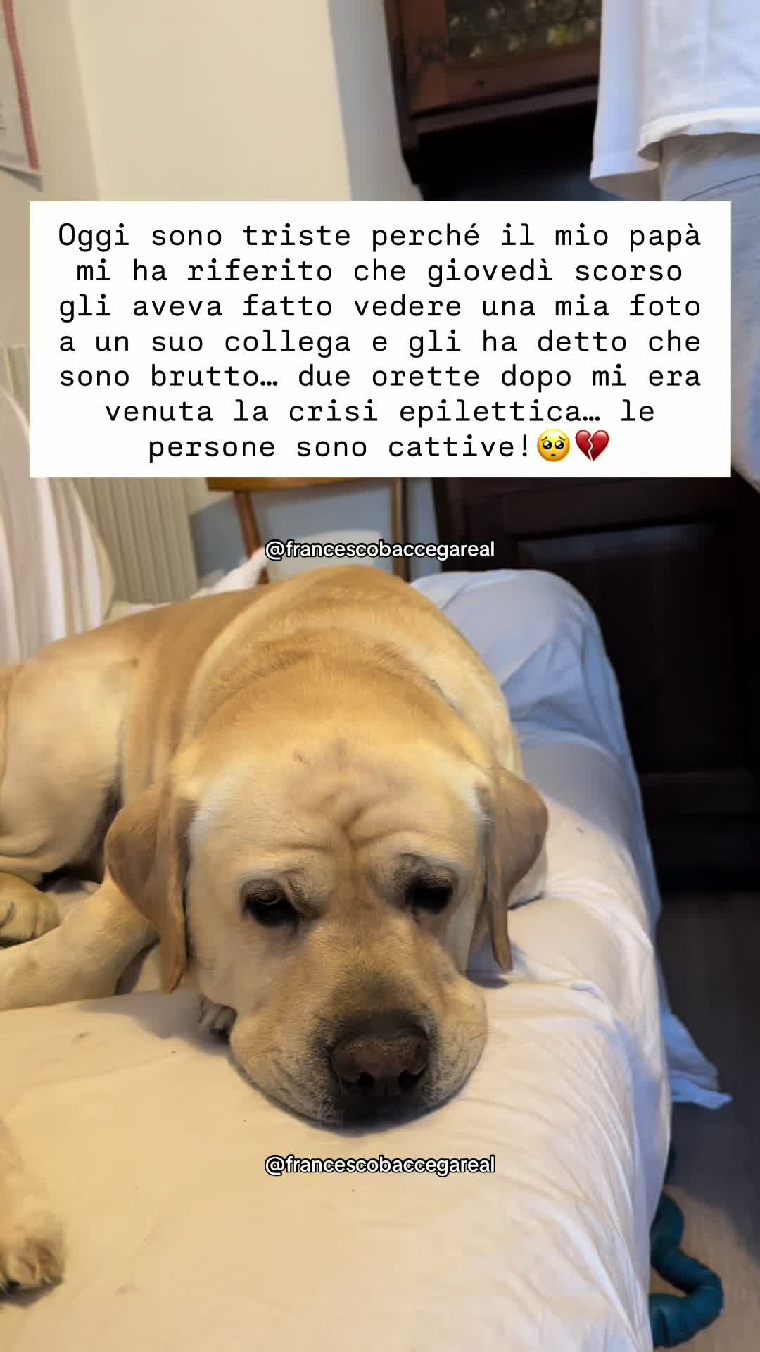 @francescobaccegareal