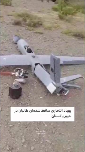 @رودابه نیوز